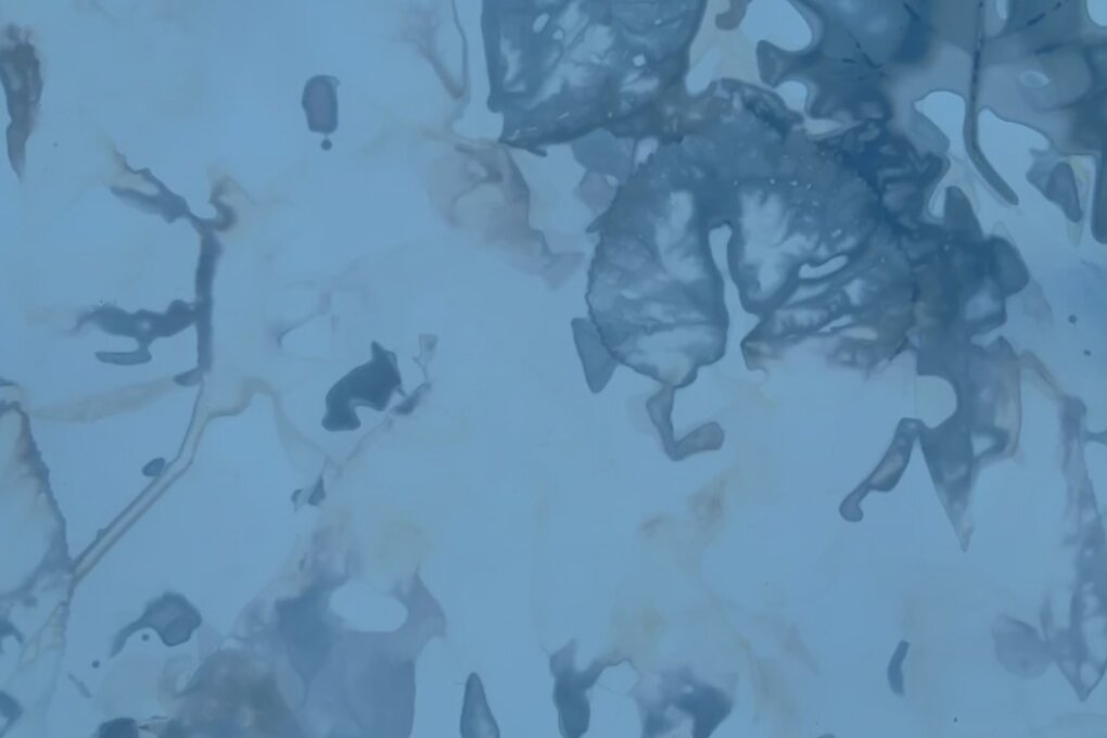 Michaela Davidová: The Metabolising Analogue